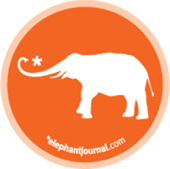 elephant journal